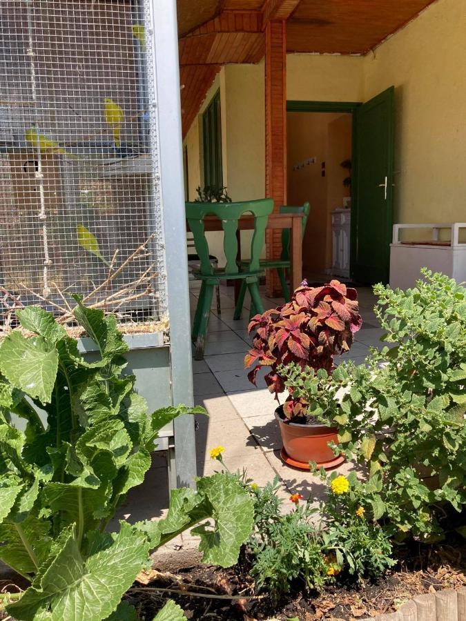 Apartament Leander Vendeghaz Gyöngyös Zewnętrze zdjęcie